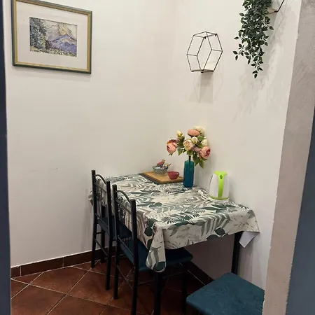 M&l Downtown Sajmiste